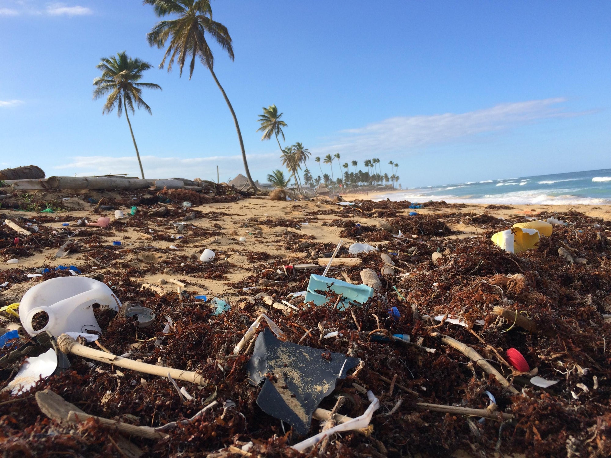 Divieto di plastica monouso ora in vigore a Maiorca