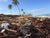 Ban on disposable plastics now in force in Mallorca